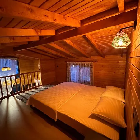 Palm House 4* Demre