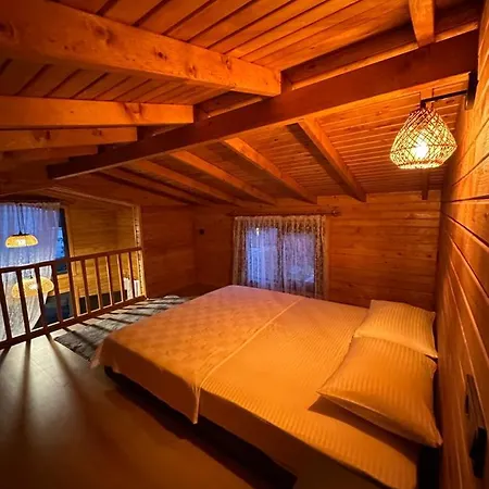 شقة فندقية Palm House