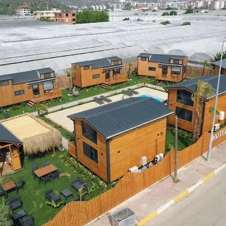 Palm House 代姆雷