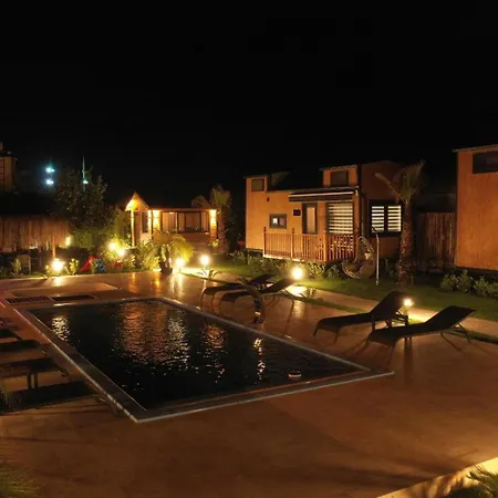 Palm House شقة فندقية 4*