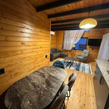 شقة فندقية Palm House دمرة