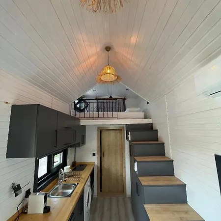 Palm House 代姆雷