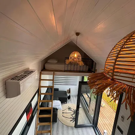 Palm House 4* دمرة