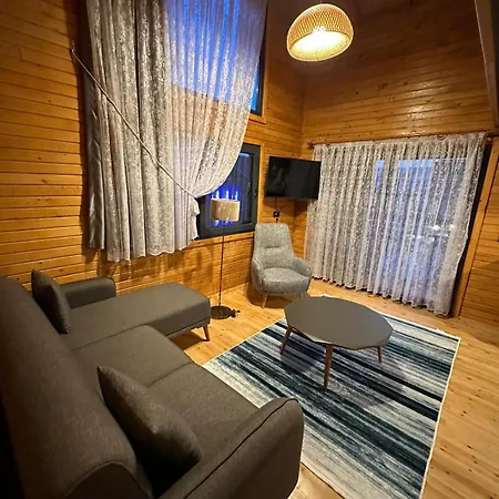 Palm House 4* دمرة